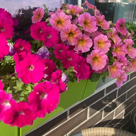 M&m Center With Free Parking *