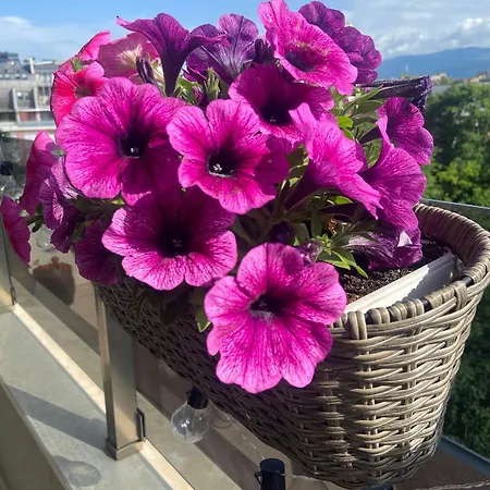 M&m Center With Free Parking *